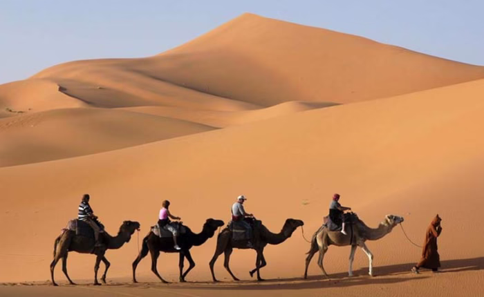Golden-Dune