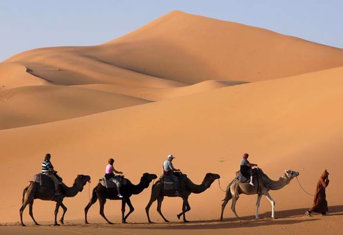Golden-Dune
