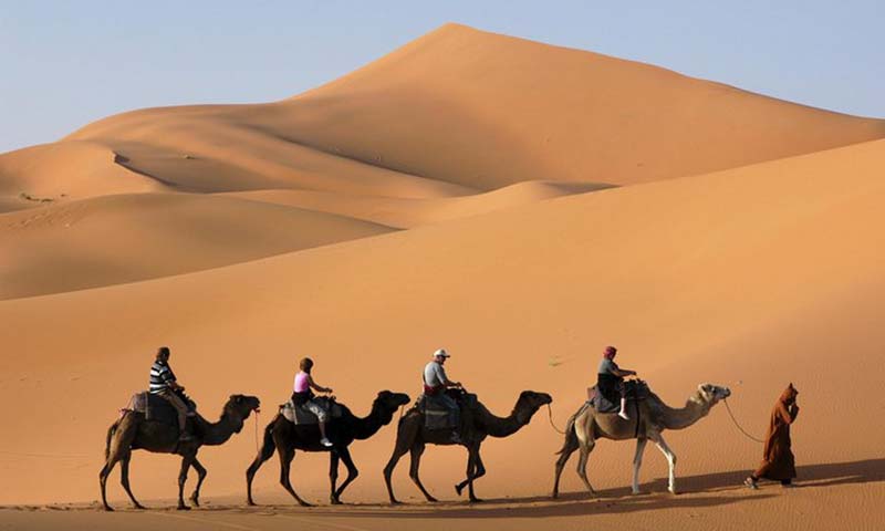 Golden-Dunes-and-Camel-Caravan-in-the-Sahara