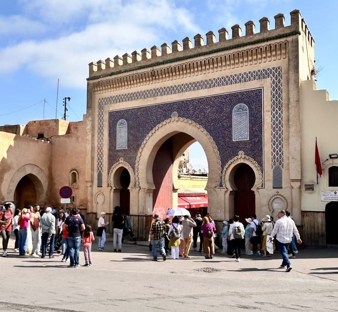 FES
