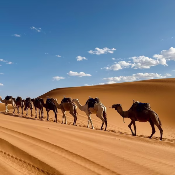 inside morocco trips