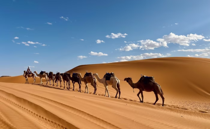inside morocco trips