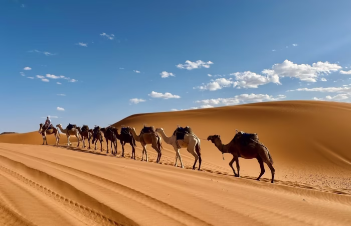inside morocco trips