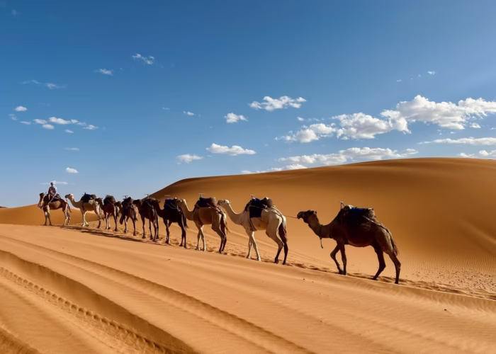 inside morocco trips