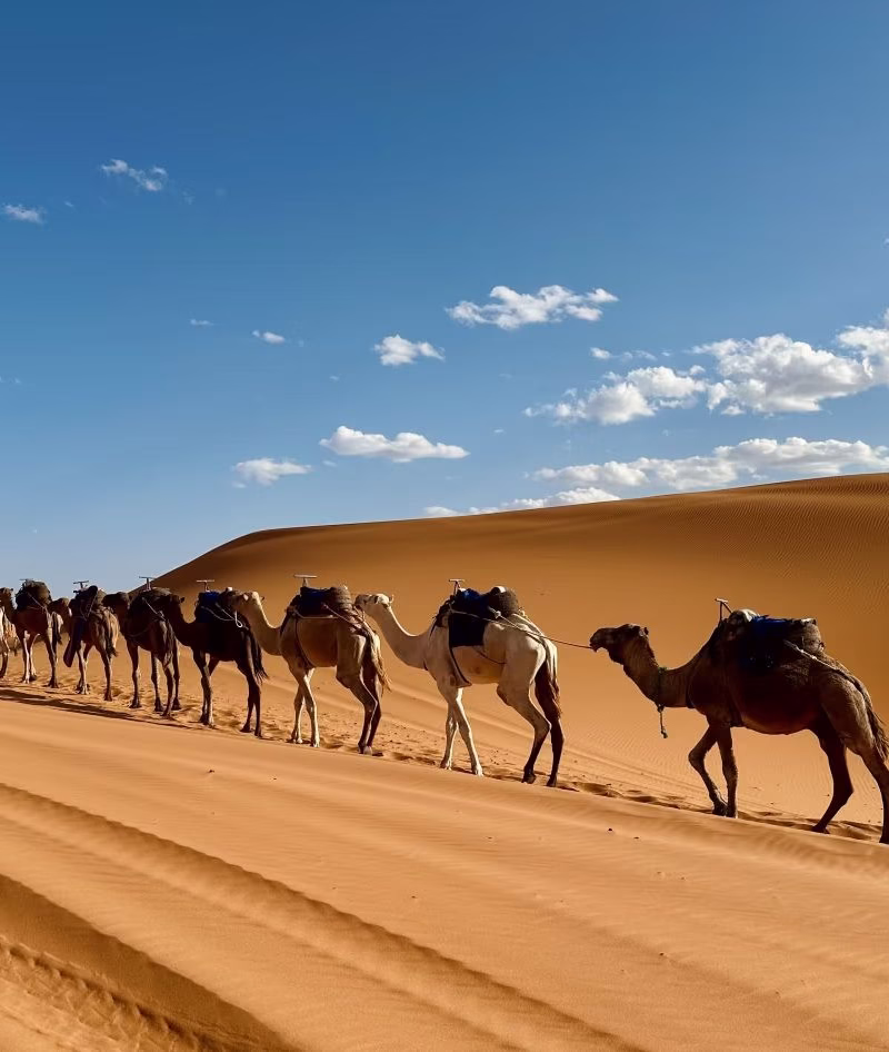 inside morocco trips