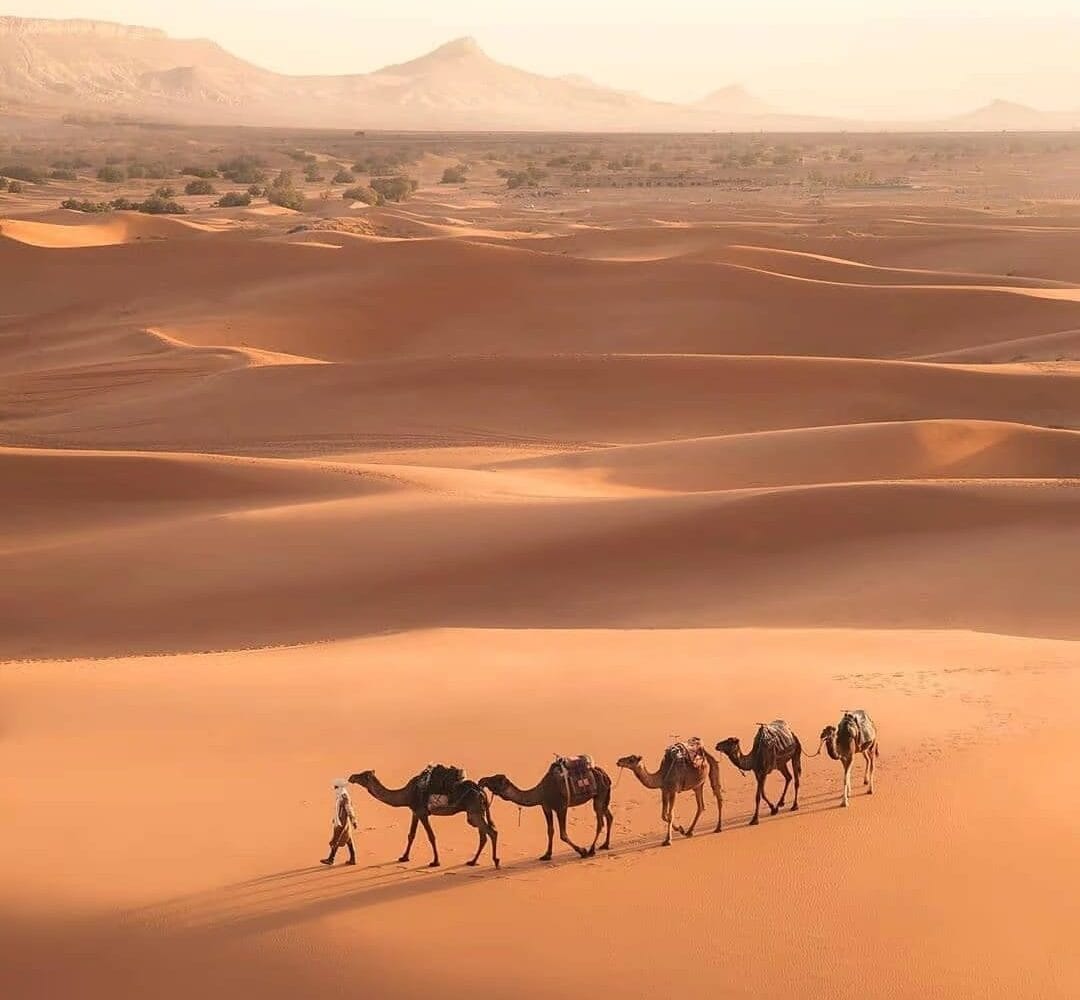 2days fes to marrakech desert tour