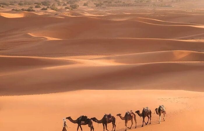 2days fes to marrakech desert tour