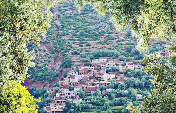 Ourika Valley Day Trip