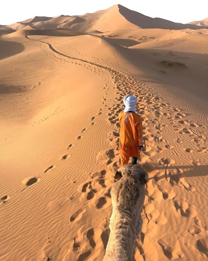 Marrakech To Fes desert Tour 2 Days