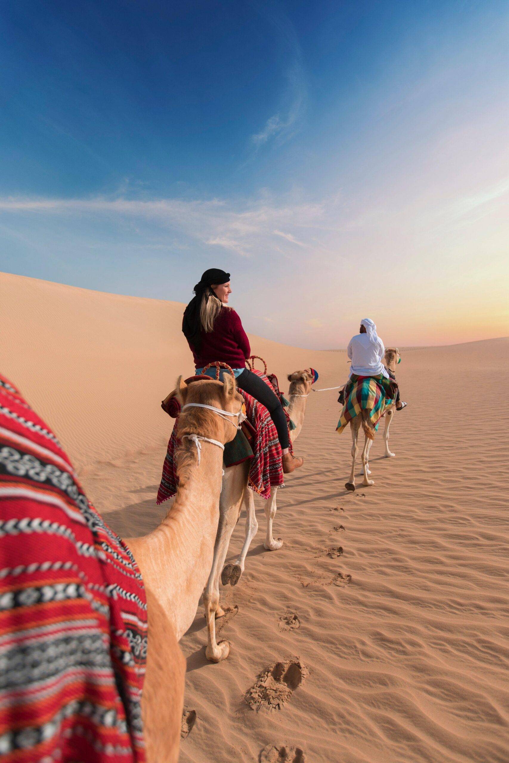 camel in Merzouga