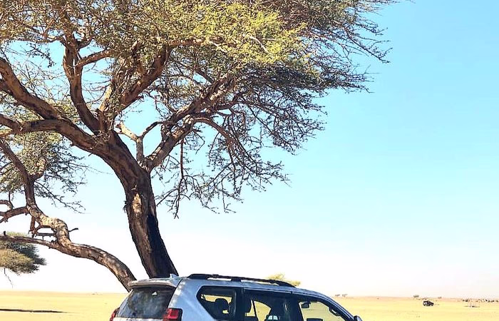 4 Days Tour from Marrakech to Erg Chigaga
