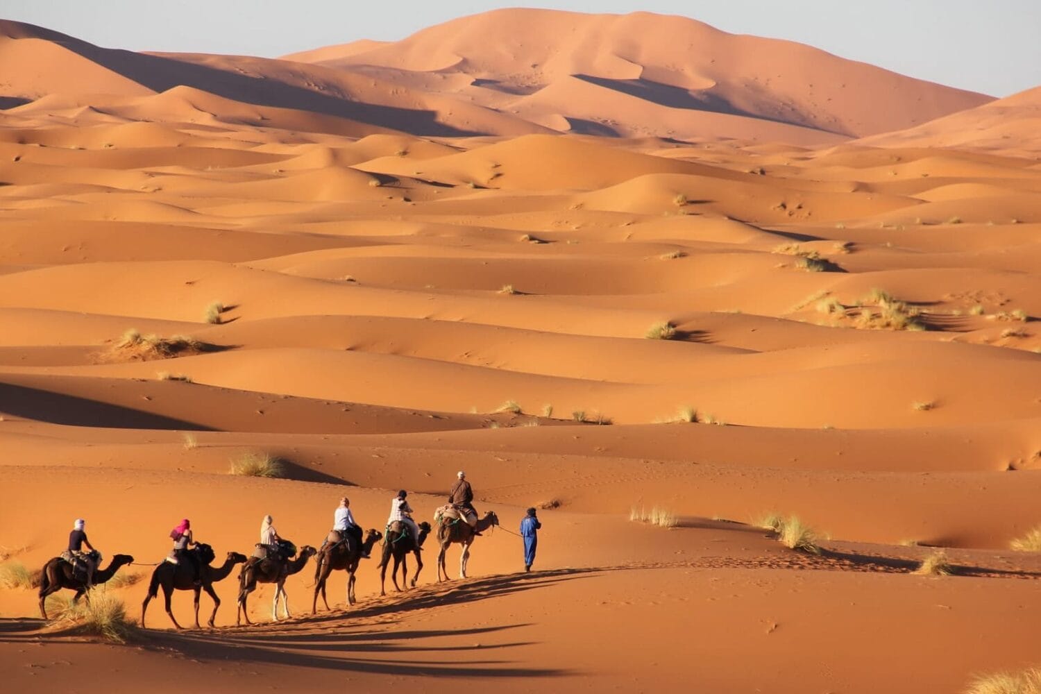 sahara-desert