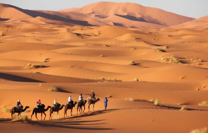 sahara-desert