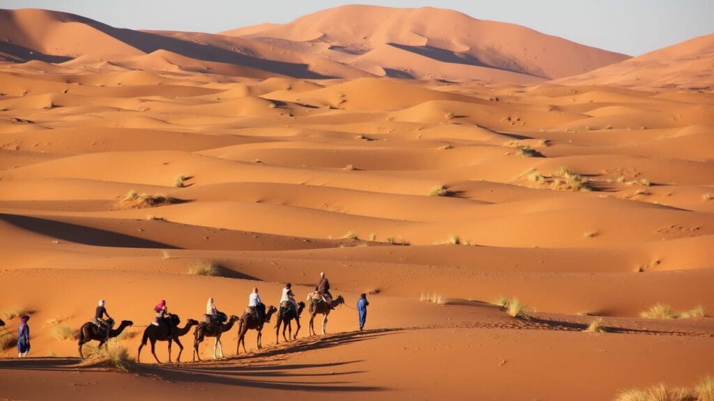 https://insidemoroccotrips.com/tour/2-days-fes-to-marrakech-desert-tour/