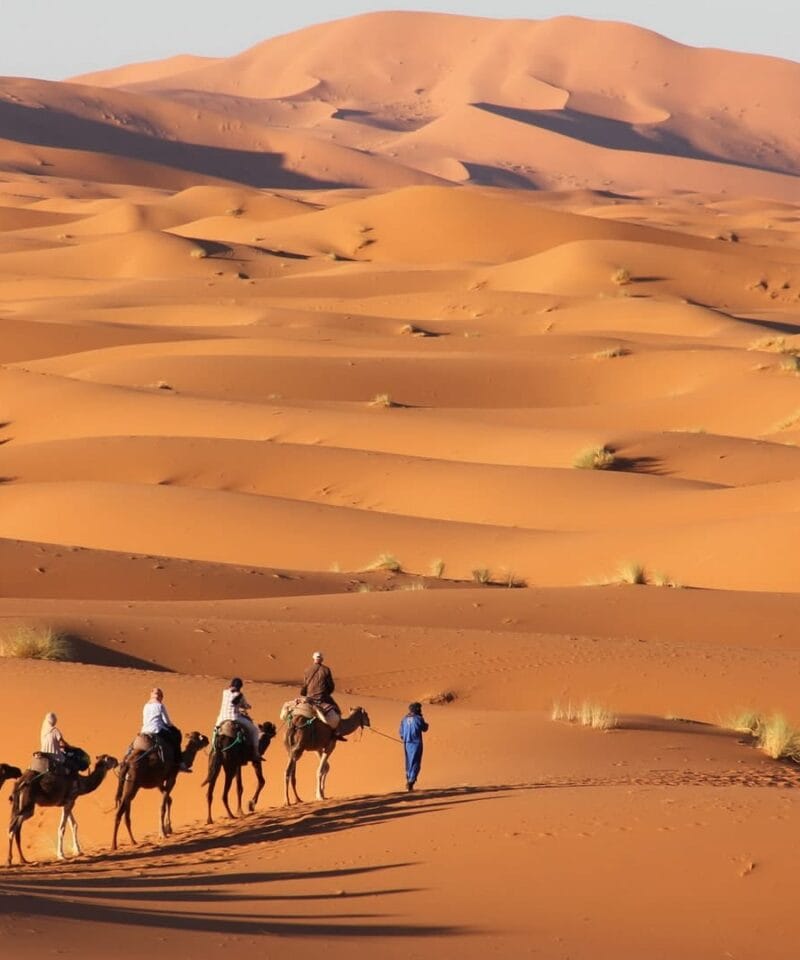 https://insidemoroccotrips.com/tour/2-days-fes-to-marrakech-desert-tour/